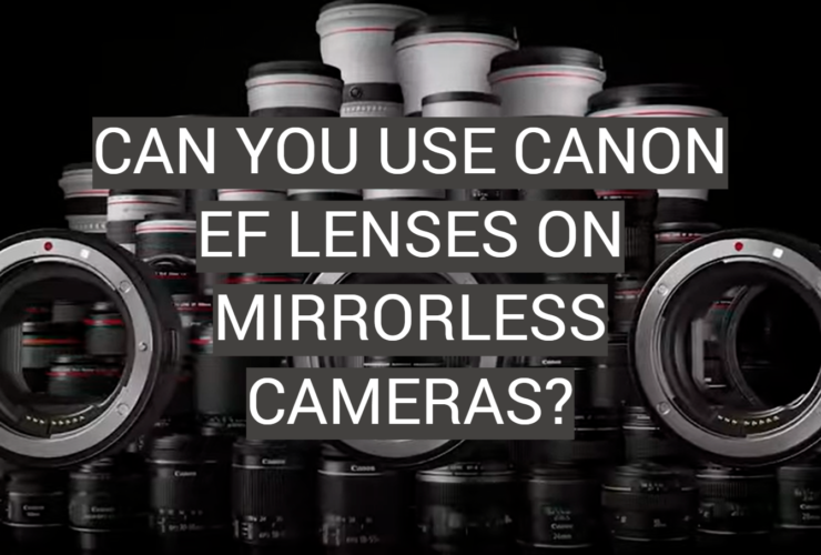 Can You Use Canon Lenses on Nikon? FotoProfy