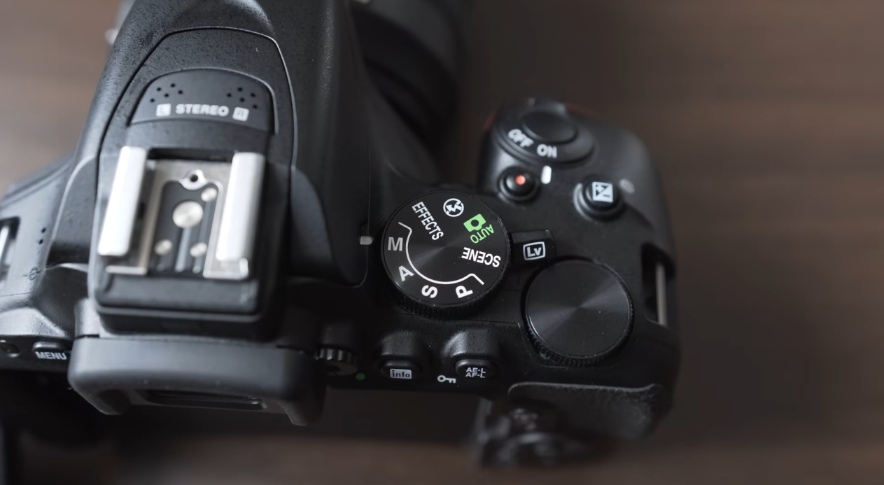 How to Record Video on Nikon D5600? FotoProfy