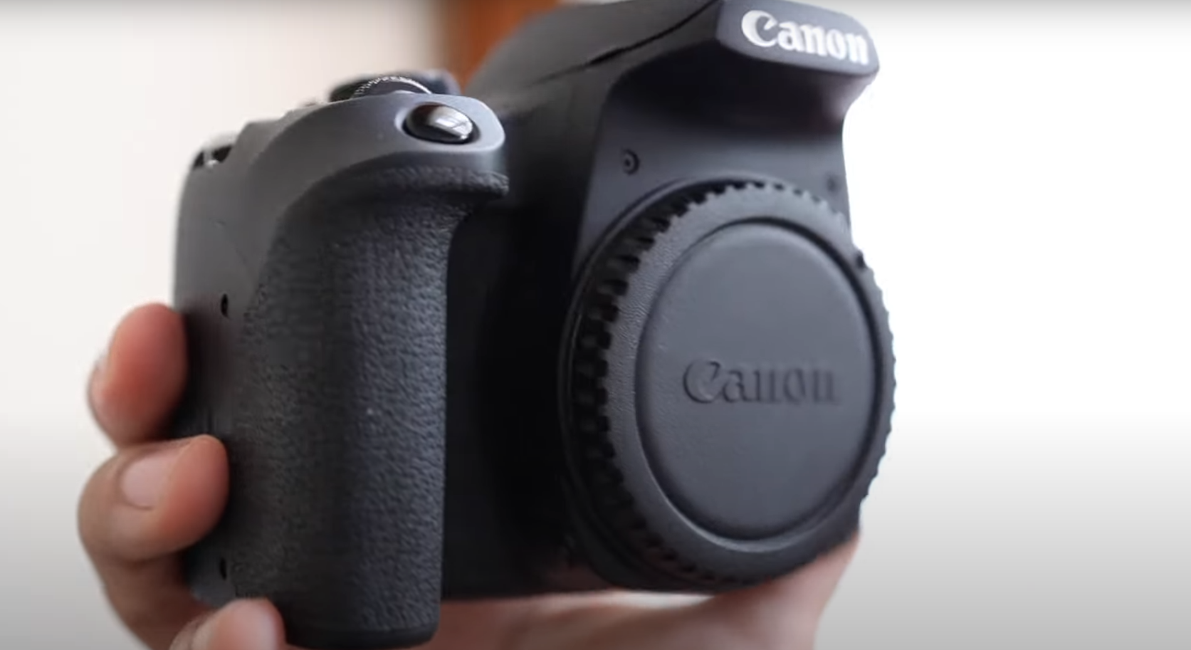 Canon EOS Rebel T7i vs. T8i Which is Better? FotoProfy