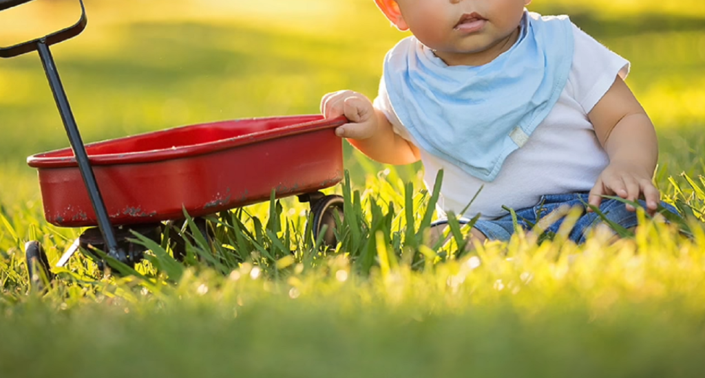 Monthly Boy Baby Milestone Photoshoot Ideas