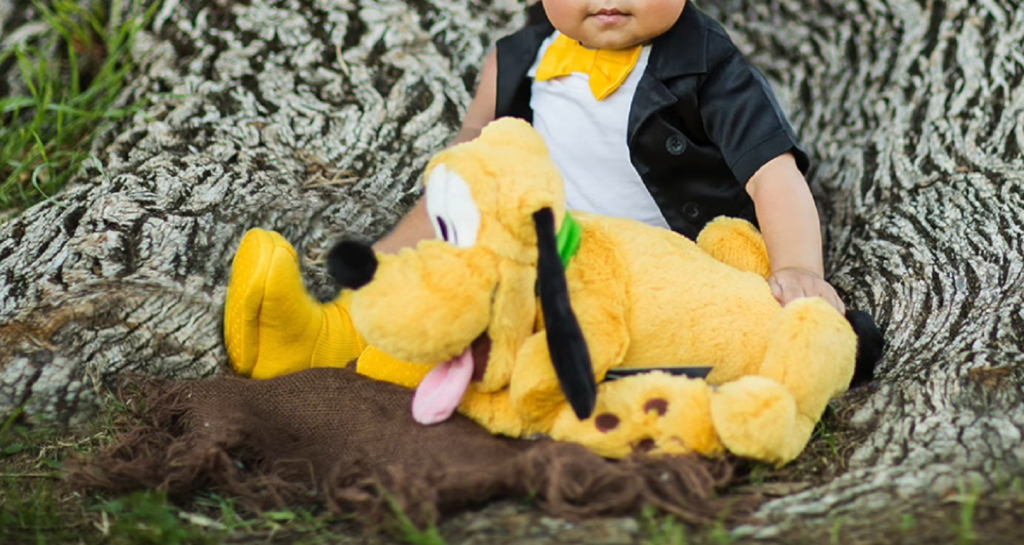 Monthly Boy Baby Milestone Photoshoot Ideas