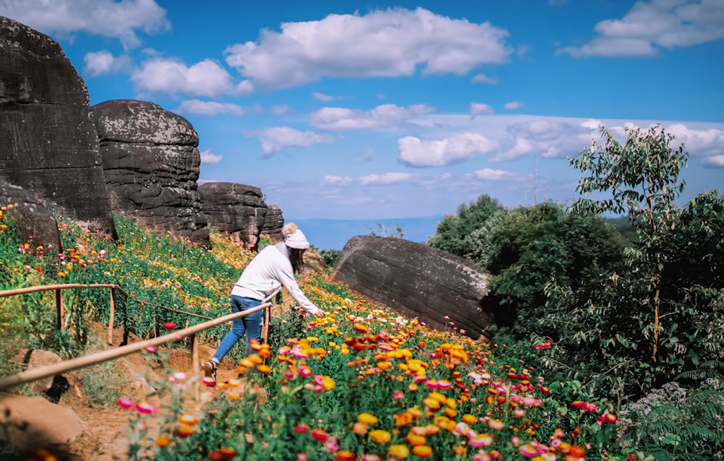 7 Reasons to Have a Pre-wedding Shoot