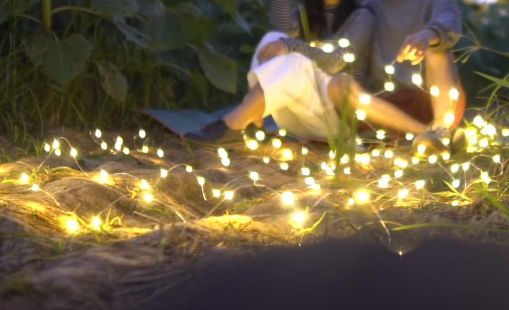 14 Tips for a Successful Pre-Wedding Shoot