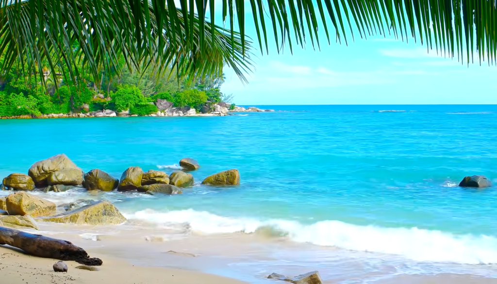 Photograph mom alone