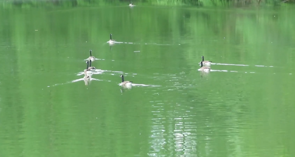 Awesome Photoshoot Locations In Atlanta That You Can’t Miss: