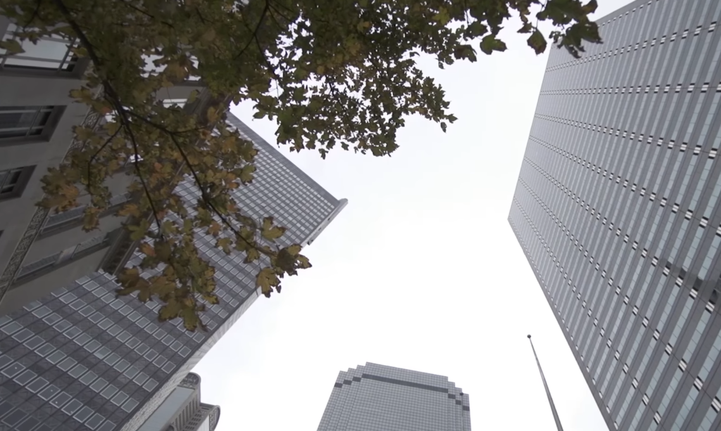 Best Places In Dallas For Outdoor Photos: