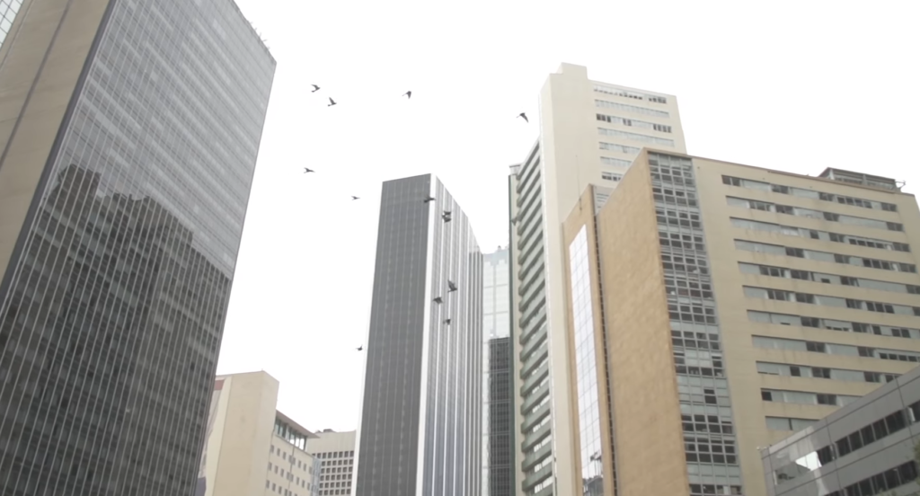 Most Instagrammable Places in Dallas: