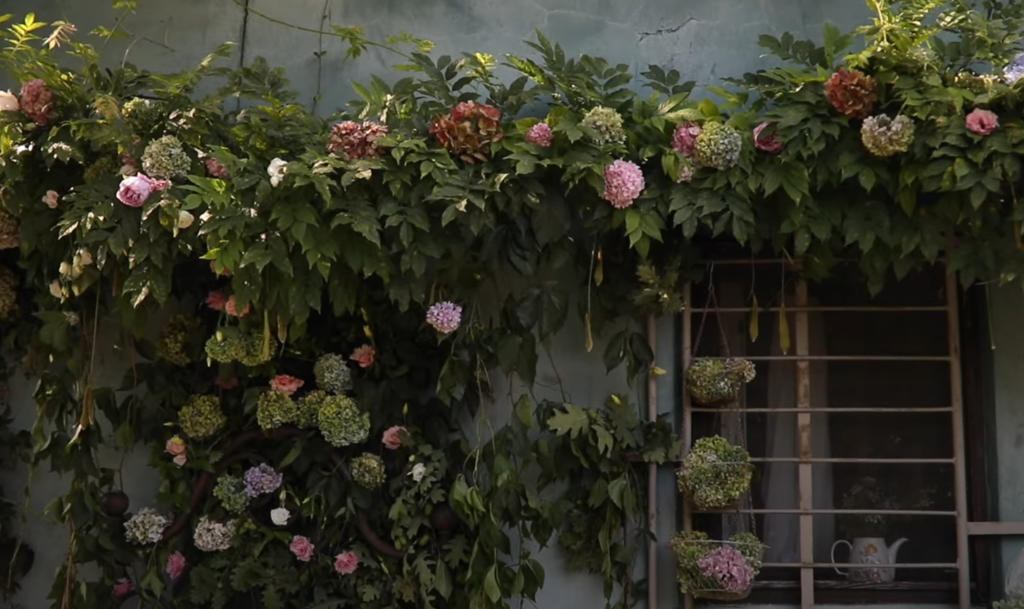 Mini Disney Princess Photoshoot