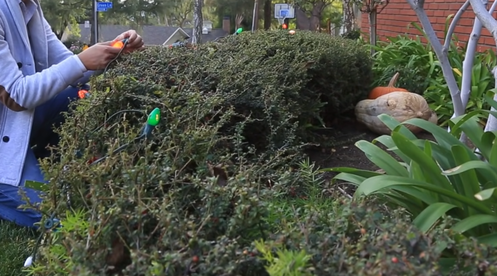 Editing Tips for Christmas Light Photography