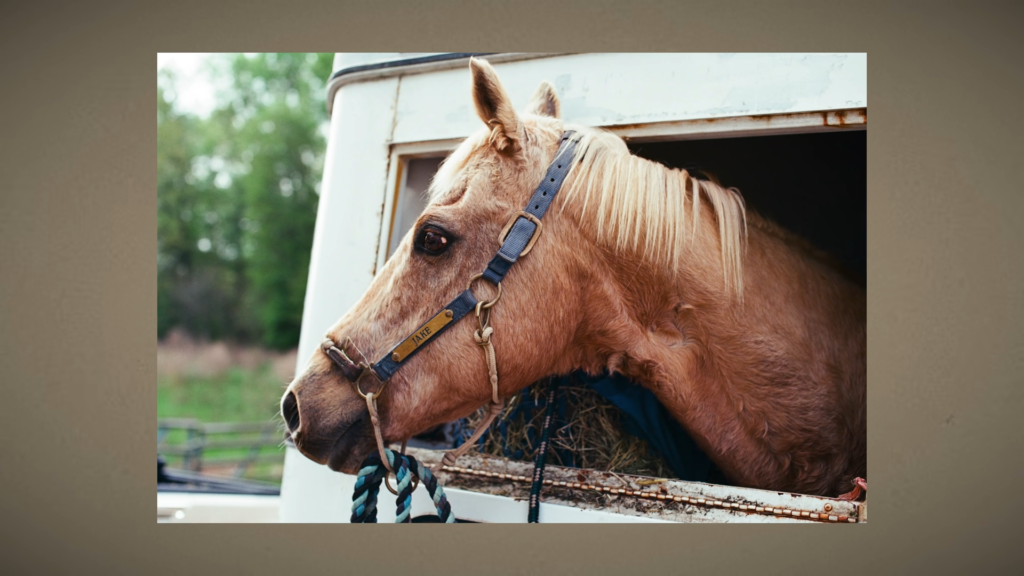 What is the aperture of the diaphragm?