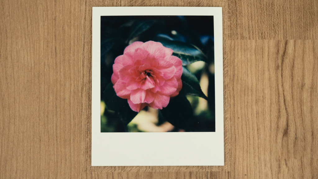 Tips for Capturing Good Polaroid Pictures in the Dark
