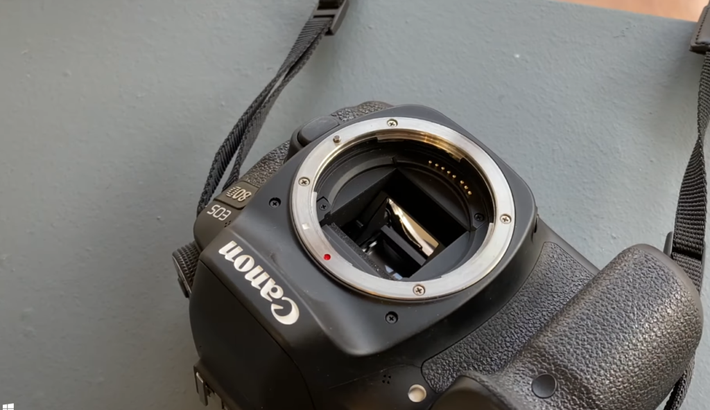 What Camera Does Peter McKinnon Use?