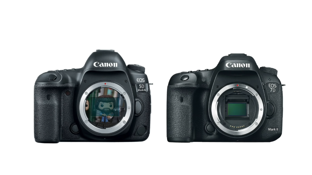 What Camera Does Peter McKinnon Use?