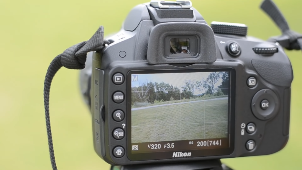 Alternatives to the Nikon D3100 and D3300