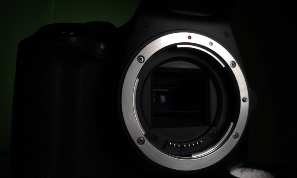 What Camera Does Bald And Bankrupt Use?