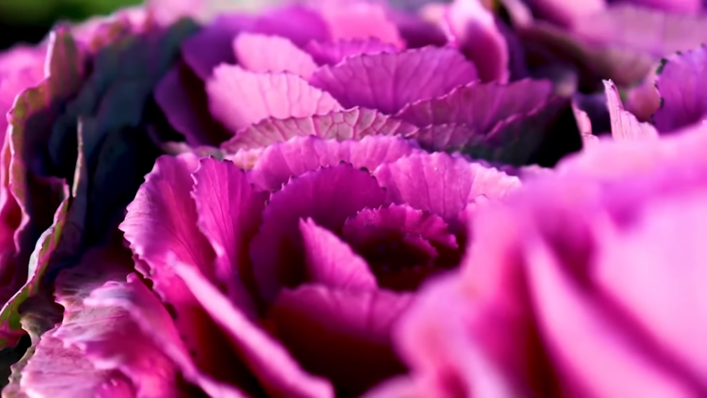 How to Get Photography Clients — 13 Marketing Strategies