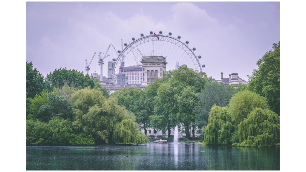 Tips For Portrait Photography