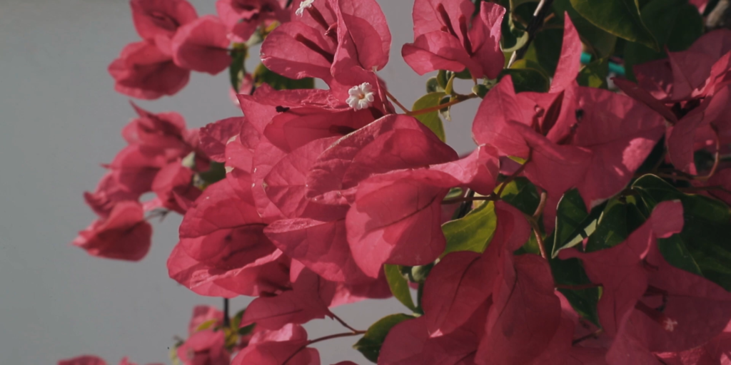 What is Photography?